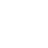 icons8-web-shield-60